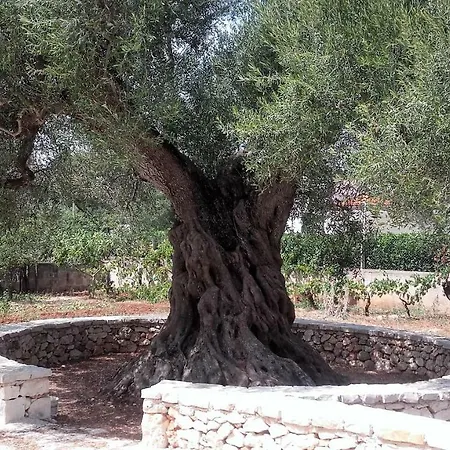 Casa Polinisso * Carovigno